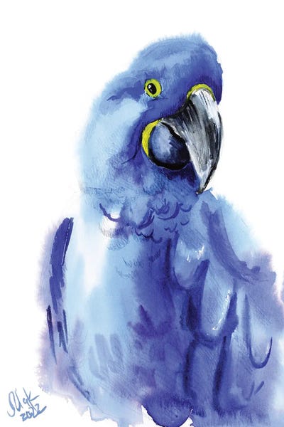 Parrots: Blue Parrot by Nataly Mak