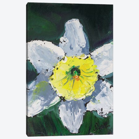 Daffodil Canvas Print #NTM340} by Nataly Mak Art Print