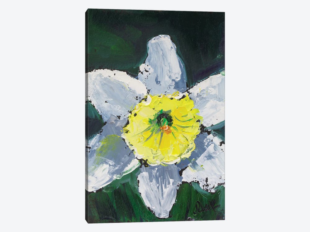 Daffodil by Nataly Mak 1-piece Canvas Art