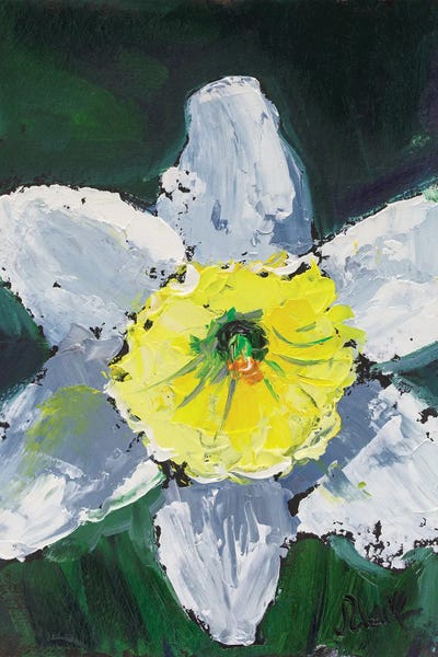 Daffodils: Daffodil by Nataly Mak