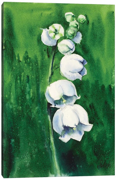 Lily Of The Valley IV Canvas Art Print - Lily Art