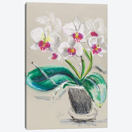 Orchid Flowers In Vase Canvas Print #NTM360} by Nataly Mak Canvas Print