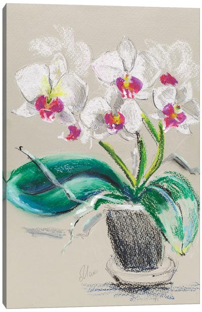 Orchid Flowers In Vase Canvas Art Print - Orchid Art