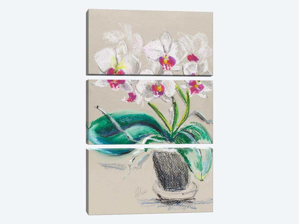 Orchid Flowers In Vase by Nataly Mak 3-piece Canvas Wall Art