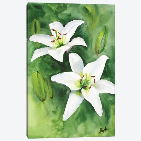 White Lily Watercolor Canvas Print #NTM367} by Nataly Mak Canvas Wall Art