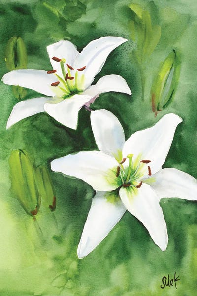 Nataly Mak: White Lily Watercolor by Nataly Mak