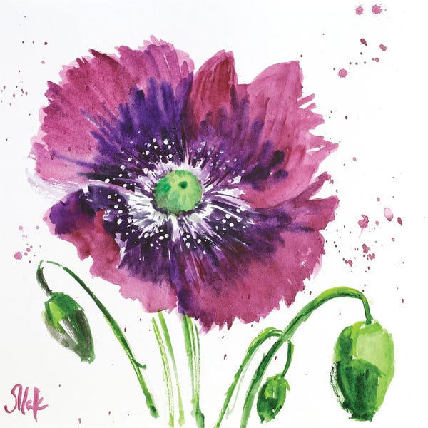 Nataly Mak: Red Poppy Flowers Watercolor by Nataly Mak