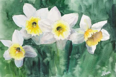 Daffodils White Flowers by Nataly Mak framed wall art
