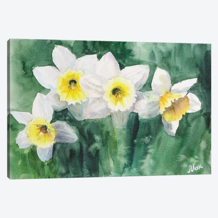 Daffodils White Flowers Canvas Print #NTM369} by Nataly Mak Canvas Art Print