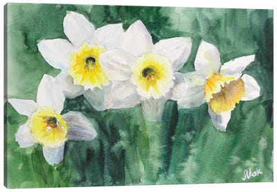 Daffodils White Flowers Canvas Art Print - Daffodil Art
