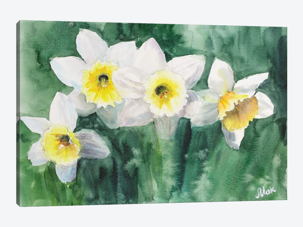 Daffodils White Flowers by Nataly Mak 1-piece Art Print