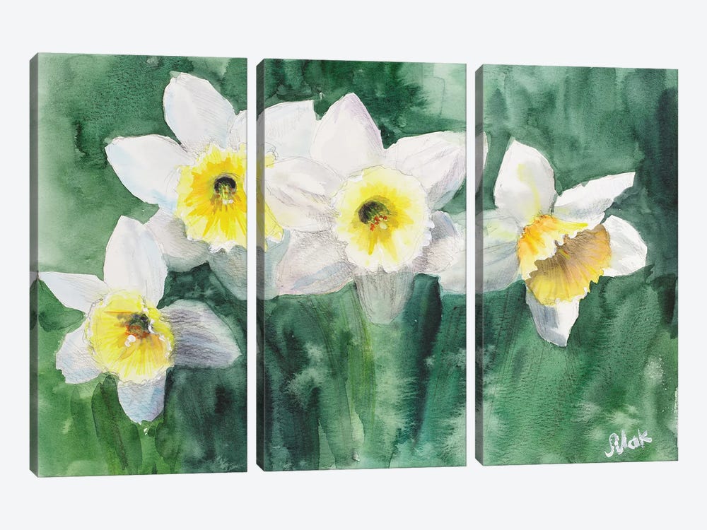 Daffodils White Flowers by Nataly Mak 3-piece Canvas Art Print