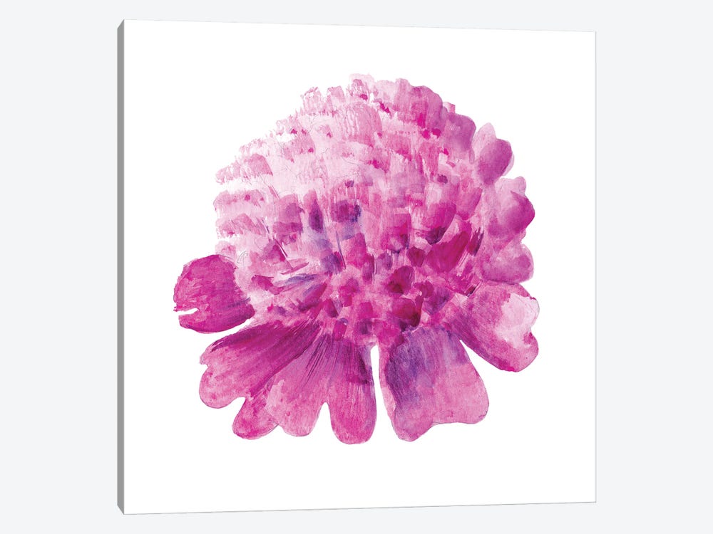 Pink Peony Flowers Watercolor by Nataly Mak 1-piece Canvas Print
