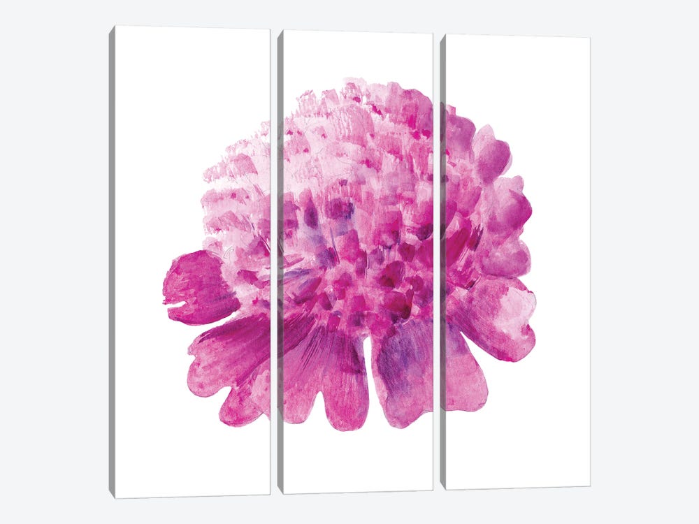 Pink Peony Flowers Watercolor by Nataly Mak 3-piece Canvas Art Print