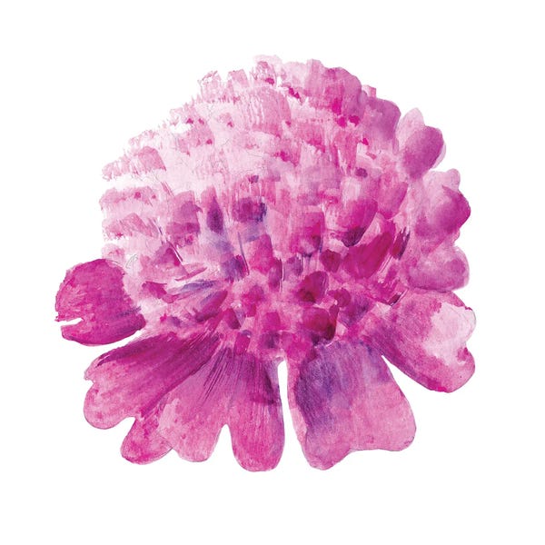 Nataly Mak: Pink Peony Flowers Watercolor by Nataly Mak