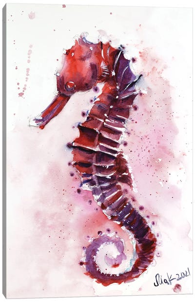 Seahorse Seacreature Watercolor Canvas Art Print - Seahorse Art