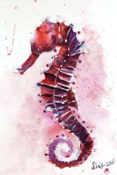 Seahorses: Seahorse Seacreature Watercolor by Nataly Mak