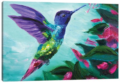Hummingbird And Fuchsia Canvas Art Print - Nataly Mak