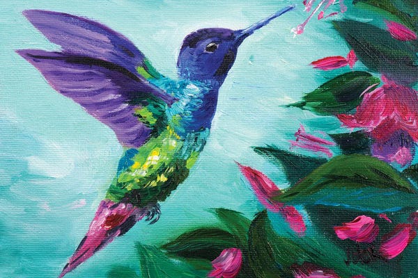 Hummingbirds: Hummingbird And Fuchsia by Nataly Mak