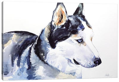 Siberian Husky Canvas Art Print - Nataly Mak