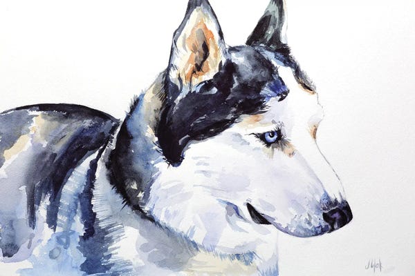 Siberian Huskies: Siberian Husky by Nataly Mak