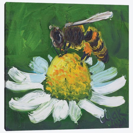Honey Bee On Chamomile Canvas Print #NTM410} by Nataly Mak Canvas Print