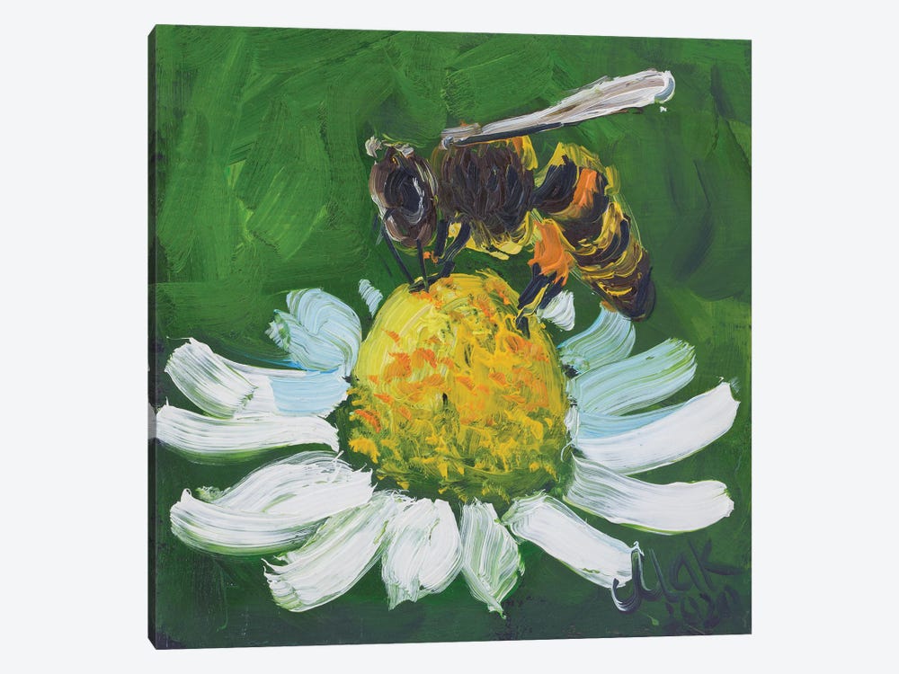 Honey Bee On Chamomile by Nataly Mak 1-piece Canvas Art