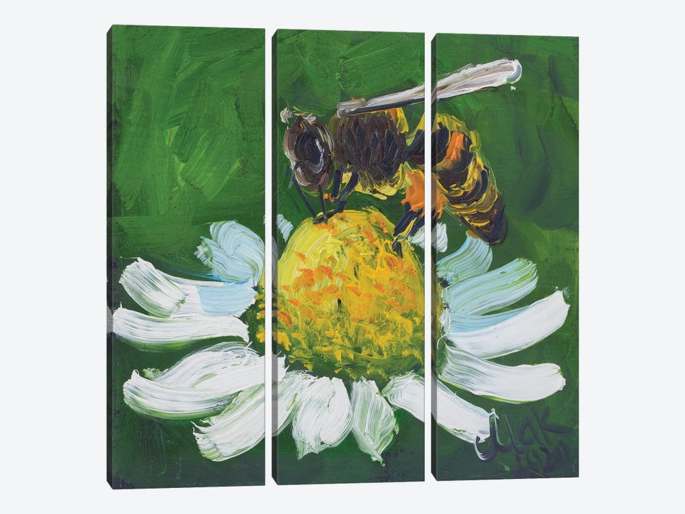 Honey Bee On Chamomile by Nataly Mak 3-piece Canvas Artwork