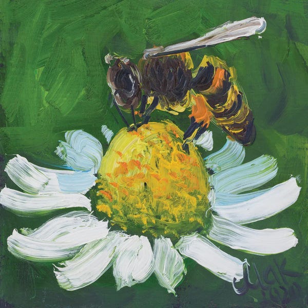 Nataly Mak: Honey Bee On Chamomile by Nataly Mak