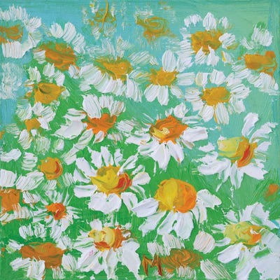 Chamomile Oil Painting by Nataly Mak framed wall art