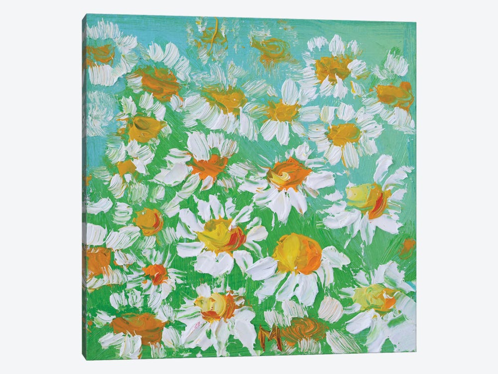 Chamomile Oil Painting by Nataly Mak 1-piece Canvas Print