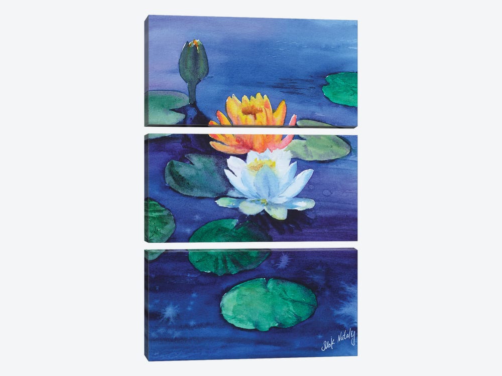 Water Lily Lotus Flower Painting by Nataly Mak 3-piece Canvas Art