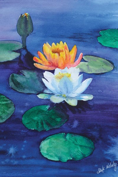 Water Lilies Collection: Water Lily Lotus Flower Painting by Nataly Mak