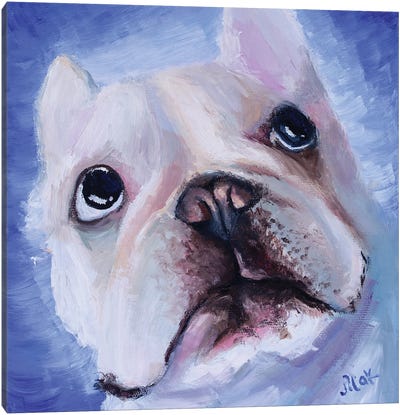 Bulldog Canvas Art Print - Nataly Mak