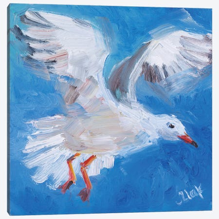 Seagull III Canvas Print #NTM429} by Nataly Mak Canvas Wall Art