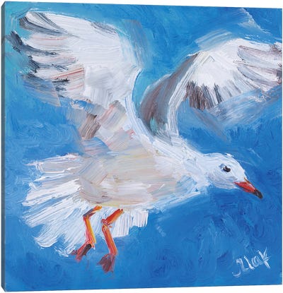 Seagull III Canvas Art Print - Gull & Seagull Art