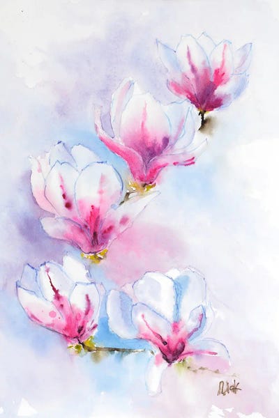 Magnolias: Magnolia Flowers by Nataly Mak
