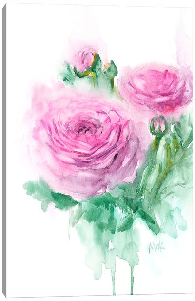 Ranunculus Painting Flower Canvas Art Print - Ranunculus Art