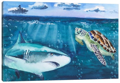 Turtle And Shark Art Canvas Art Print - Nataly Mak