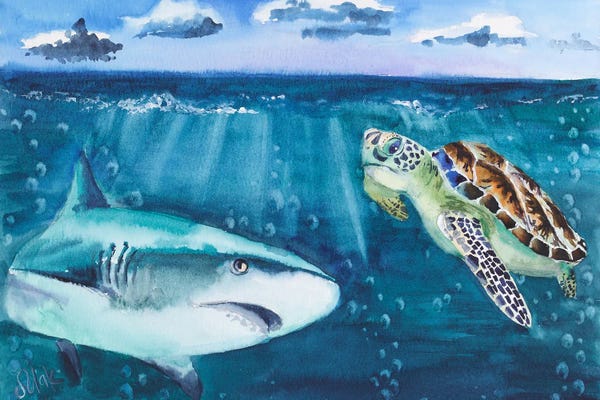 Nataly Mak: Turtle And Shark Art by Nataly Mak