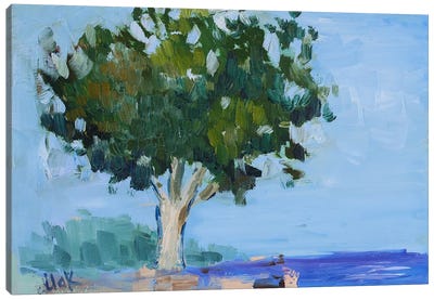 Sea And Tree Canvas Art Print - Nataly Mak