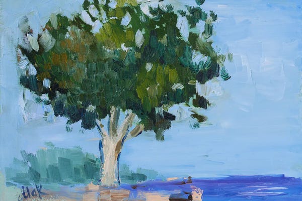 Sea And Tree