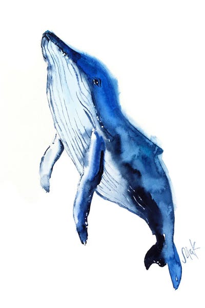 Humpback Whales: Whale by Nataly Mak