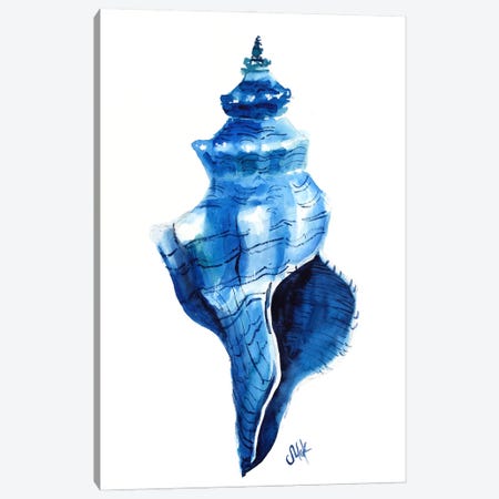 Seashell Canvas Print #NTM446} by Nataly Mak Art Print