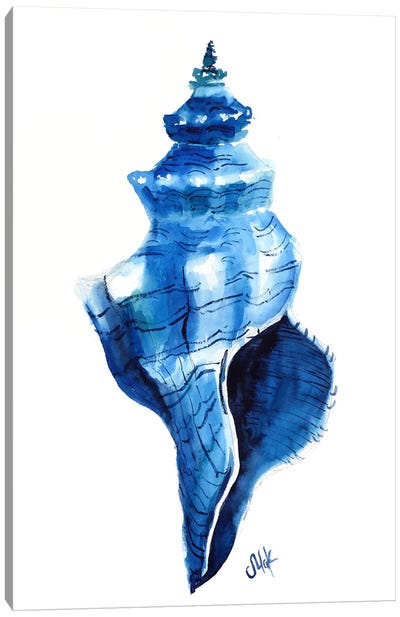 Seashell Canvas Art Print - Nataly Mak