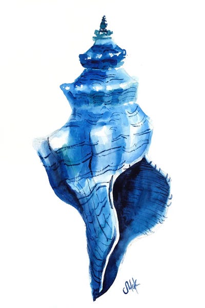 Nataly Mak: Seashell by Nataly Mak