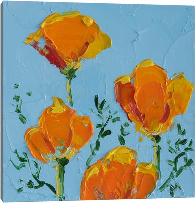 California Poppy Canvas Art Print - Nataly Mak