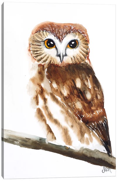 Owl Watercolor II Canvas Art Print - Nataly Mak