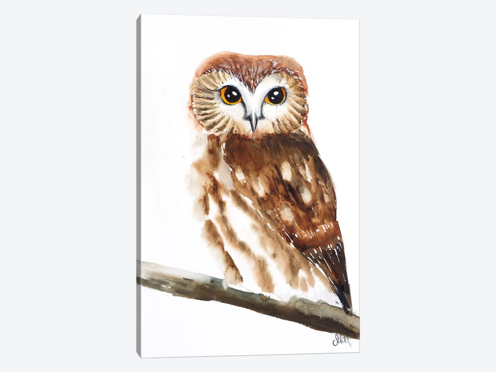 Owl Watercolor II by Nataly Mak 1-piece Canvas Art Print
