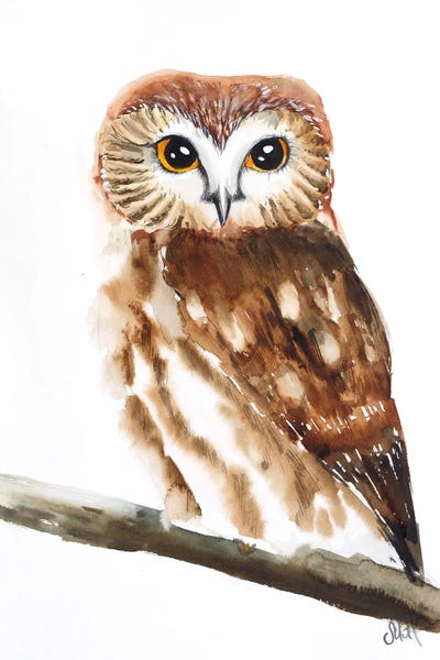 Nataly Mak: Owl Watercolor II by Nataly Mak